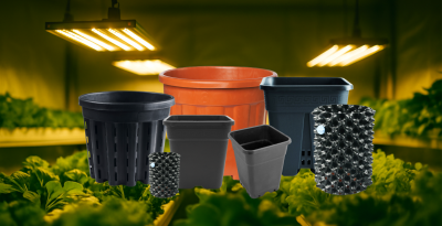 Cum să Alegi Ghiveciul Potrivit: Air-Pruning, Textil sau Plastic?