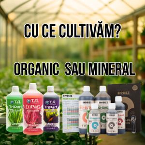 Fertilizanti organici sau minerali: Ce alegi pentru legume și fructe?