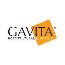 GAVITA