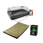 Set pentru colonare - propagator + tavă cu cuburi + Clonex 50ml 