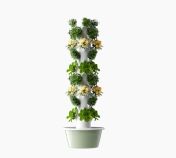 Turn aeroponic pe 9 niveluri pentru 36 de plante