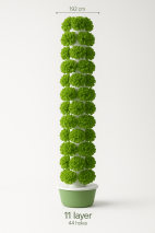 Turn aeroponic pe 11 niveluri pentru 44 de plante