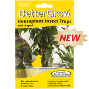 Capcane pentru insecte BetterGrow 15 buc