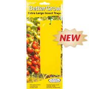 Capcane pentru insecte BetterGrow Extra Large 10 buc. - 25 x 10 cm