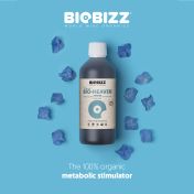 BioBizz Bio Heaven 