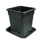 Set farfurie + ghiveci pătrat negru Vega