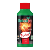 Dutchpro - Explode