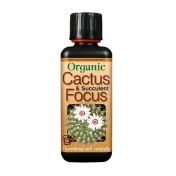 Cactus Focus - Îngrășământ pentru Cactus și Suculente