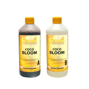Ferro COCO BLOOM A&B - faza de înflorire