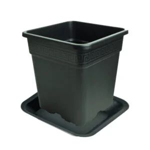 Set ghiveci pătrat negru Vega 5l cu farfurie