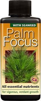 Palm Focus 100 ml