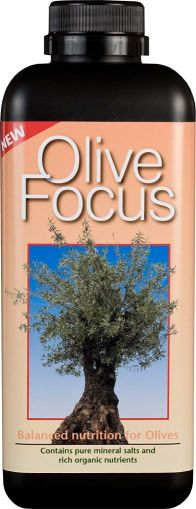 Olive Focus - Îngrășământ pentru măslini 300 ml