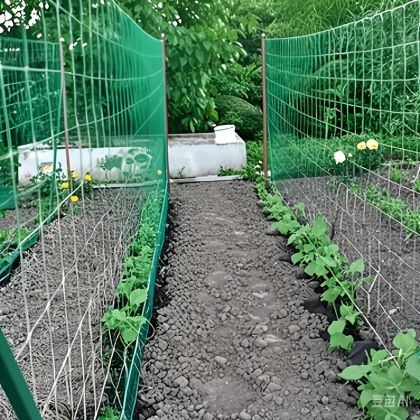 Plasă de sustinere pentru plante 1.20m / 1000m
