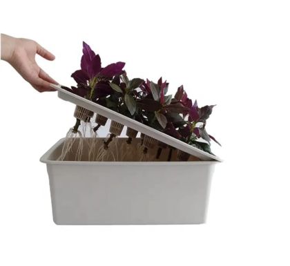 Kit de clonare/propagare plante DWC 24 de plante