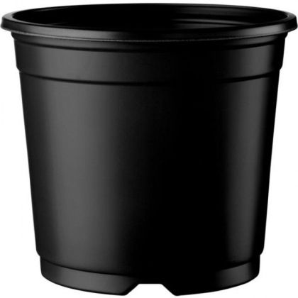 Ghiveci 1l