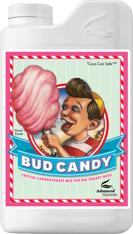 Bud Candy 0.5l
