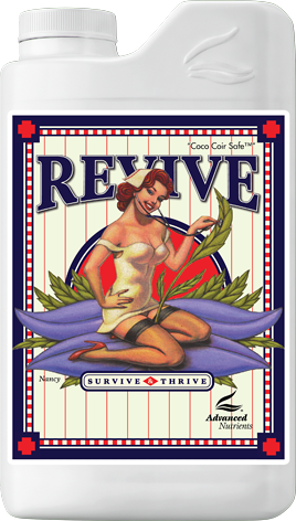 Revive 250 ml