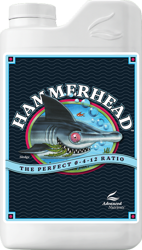 HammerHead 250ml
