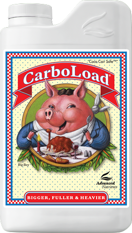 CarboLoad 500 mL
