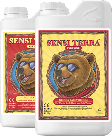 Sensi Terra Part Two 1L  - Perioada de înflorire și fruct