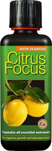 Citrus Focus - Îngrășământ pentru Citrice 300 ml