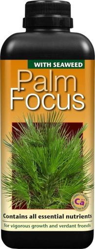 Palm Focus 1l - Îngrășământ pentru Palmieri
