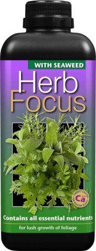 Herb Focus 1L - Nutrienți pentru ierburi aromatice și verdețuri