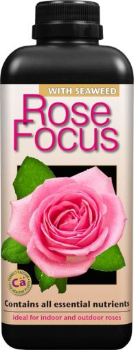 Rose Focus 1L - Îngrășământ pentru Trandafiri