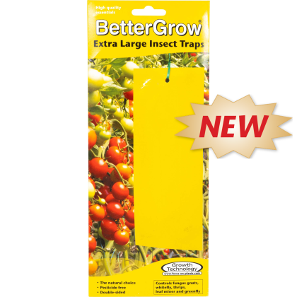 Capcane pentru insecte BetterGrow Extra Large 10 buc. - 25 x 10 cm