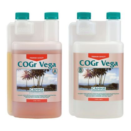 CANNA COGr Vega A+B