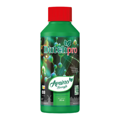 Dutchpro - Amino Strength