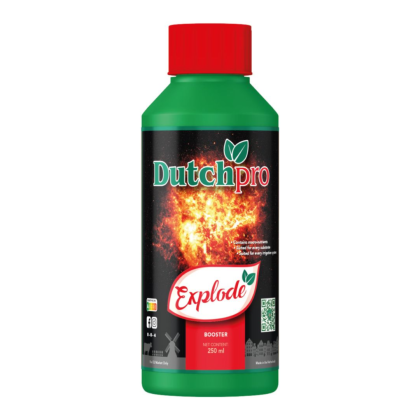 Dutchpro - Explode