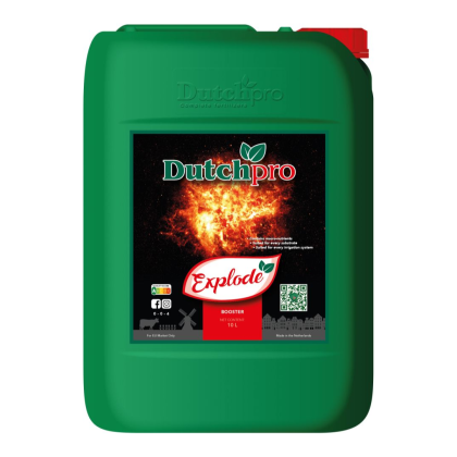 Dutchpro - Explode