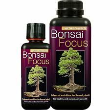 Bonsai Focus - Fertilizant pentru Bonsai