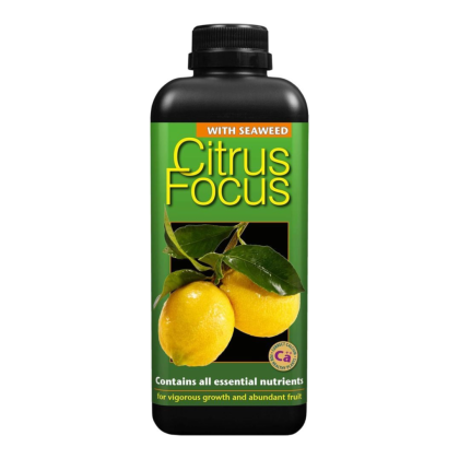 Citrus Focus - Îngrășământ pentru Citrice