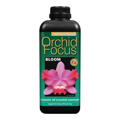 Orchid Focus Bloom - Îngrășământ pentru înflorire Orhidee