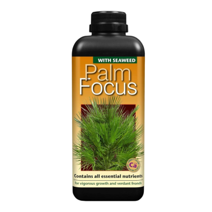 Palm Focus - Îngrășământ pentru Palmieri