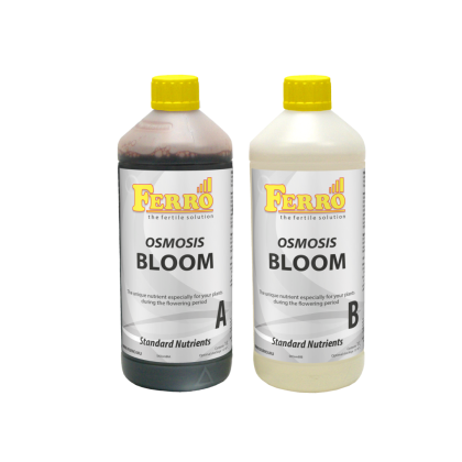 Ferro OSMOSIS BLOOM A&B
