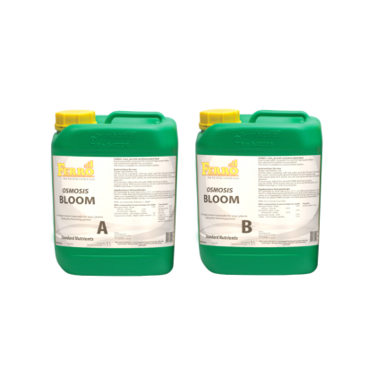 Ferro OSMOSIS BLOOM A&B