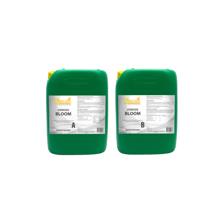 Ferro OSMOSIS BLOOM A&B