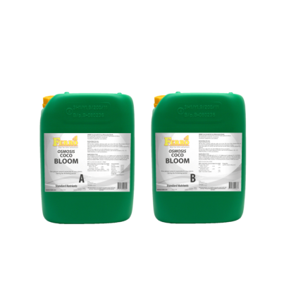 Ferro OSMOSIS COCO BLOOM A&B - faza de înflorire