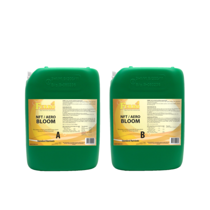 Ferro NFT / AERO, DWC BLOOM A&B - faza de înflorire