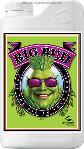 Big Bud