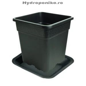 Set farfurie + ghiveci pătrat Vega