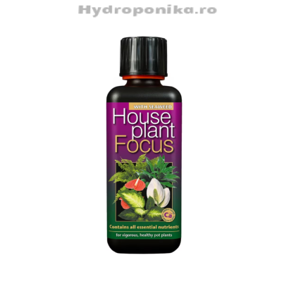 Îngrășământ pentru plante de interior - House Plant Focus