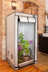 HOMEbox Ambient Q120 (120x120x200cm)