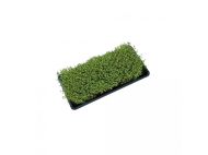 Tavă cu găuri pentru microplante (56 x 28 x 3 cm)