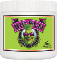 Big Bud Powder 130g 