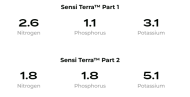 Sensi Terra Part Two 1L  - Perioada de înflorire și fruct