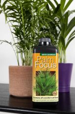 Palm Focus 1l - Îngrășământ pentru Palmieri